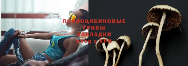 spice Коряжма