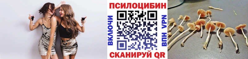 хочу   Острогожск  Галлюциногенные грибы Magic Shrooms 