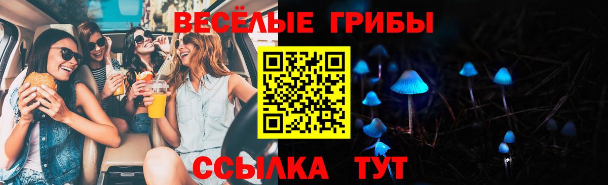 Псилоцибиновые грибы прущие грибы Острогожск